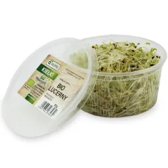 KIEŁKI LUCERNY ŚWIEŻE BIO (około 50 g) [ZBIORCZE x3]