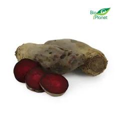 BURAK PODŁUŻNY ŚWIEŻY BIO (POLSKA) (około 5 kg) [ZBIORCZE]