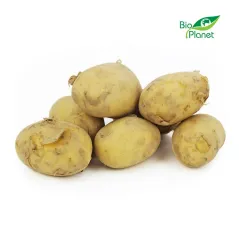 ZIEMNIAKI BIAŁE ŚWIEŻE BIO (POLSKA) (około 10 kg) [ZBIORCZE]