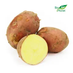 ZIEMNIAKI CZERWONE ŚWIEŻE BIO (POLSKA) (około 10 kg) [ZBIORCZE]
