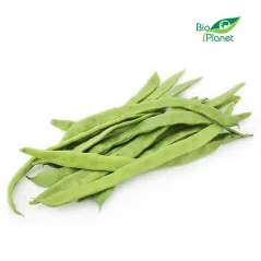FASOLKA PŁASKA ŚWIEŻA BIO (około 4 kg) [ZBIORCZE]