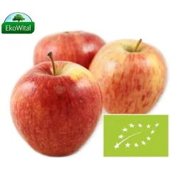 Jabłka Gala BIO 1 kg nr